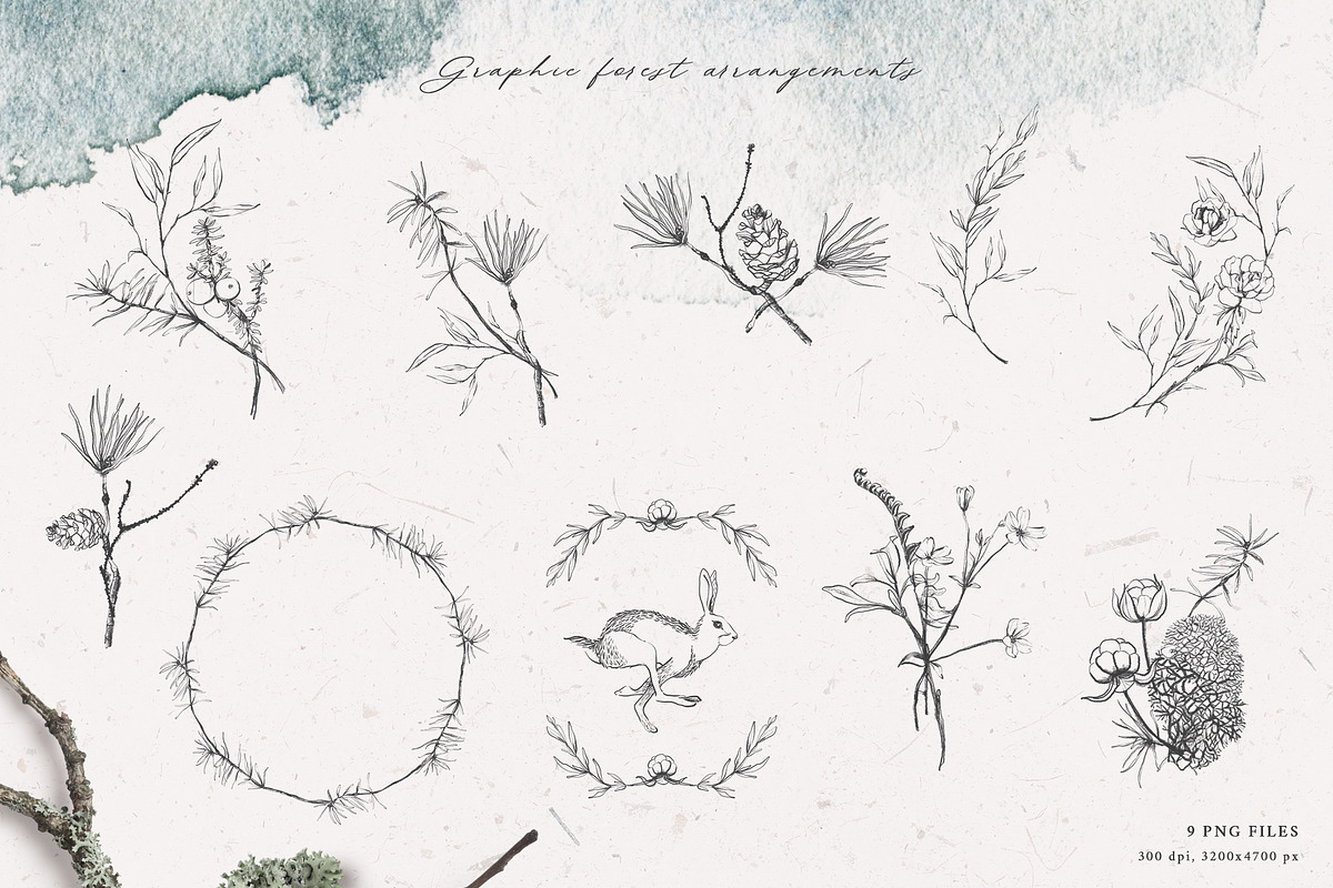TAIGA Graphic collection, an Animal Illustration by Lemaris (Photo 5 of 8)