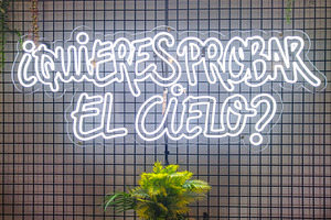 Neon question with dreamlike glow, a Photo by DanFLCreativo