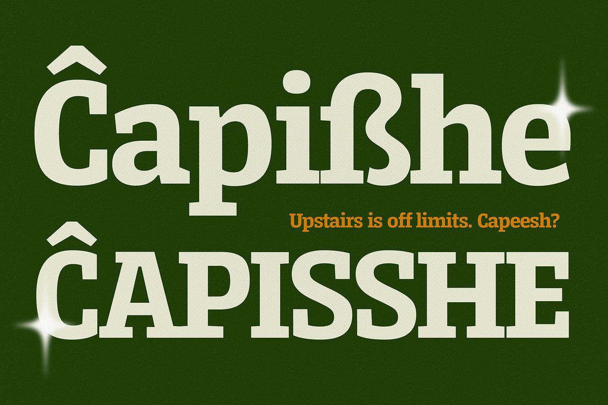 Serifnova, a Serif Font by graphicook (Photo 9 of 10)