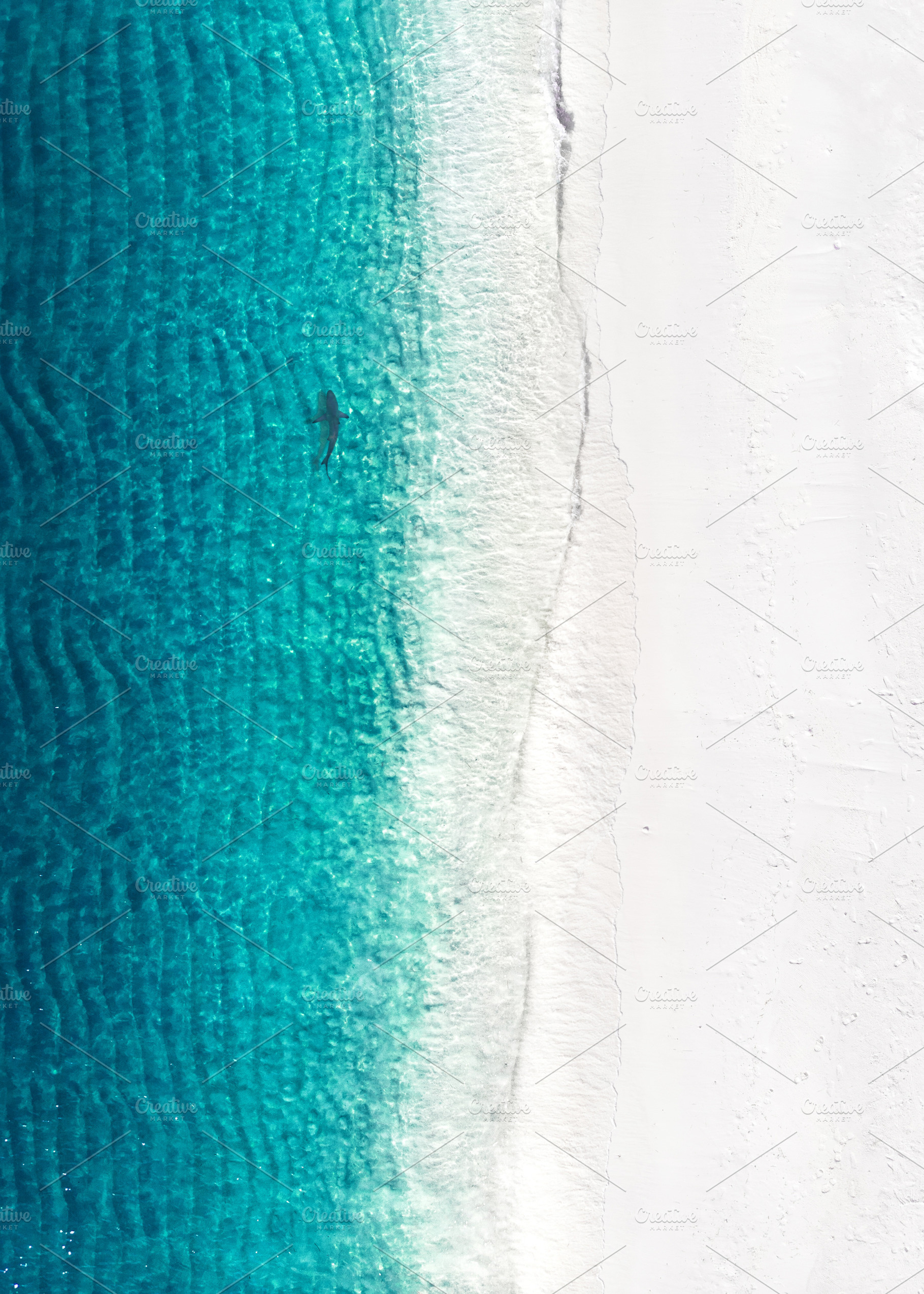 Beach aerial view with shark, a Nature Photo by shaafil