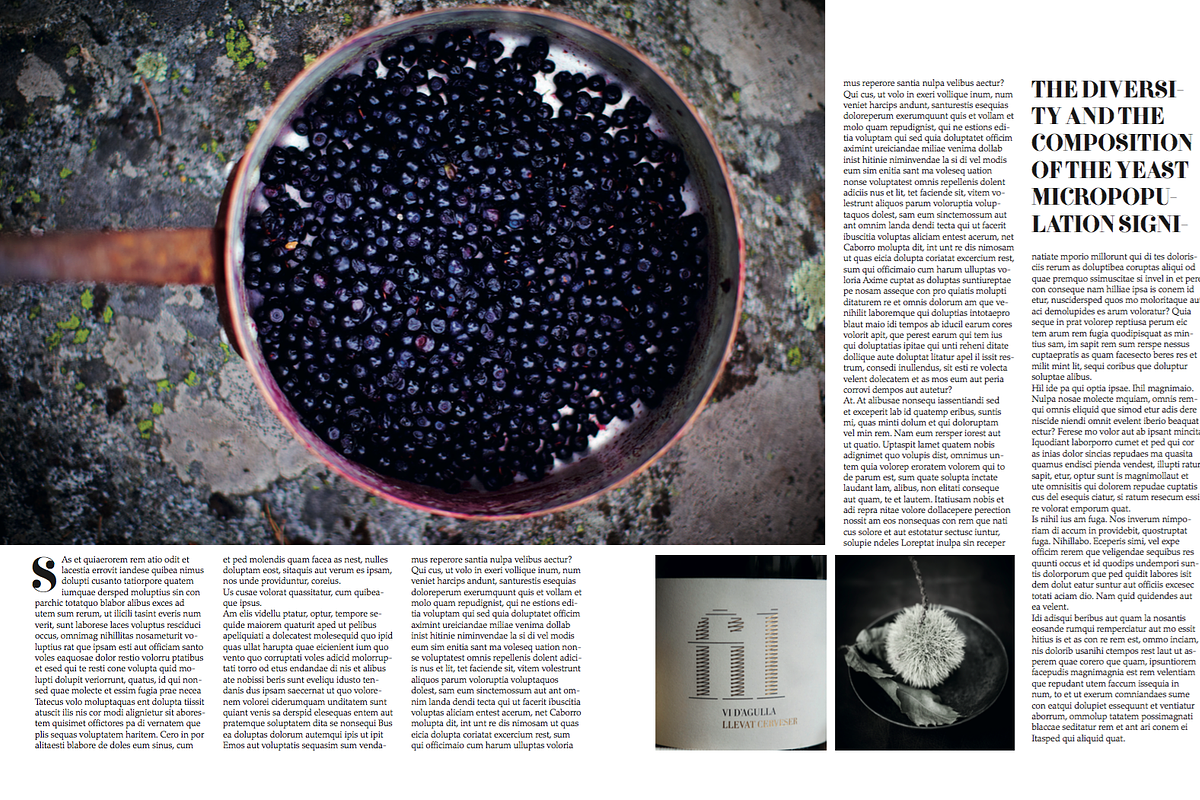 Magazine Template, a Magazine Template by Cristian Villegas Studio (Photo 4 of 14)