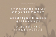 Molnica – Stylish Modern Serif Font, a Serif Font by BrandSemut (Thumbnail 8 of 8)