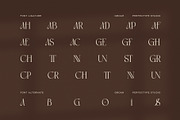 Groah Elegant Contrast Serif Font, a Serif Font by Perfectype (Thumbnail 8 of 8)