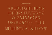 Vamos Unique Serif Typeface, a Serif Font by Alfinart (Thumbnail 5 of 10)