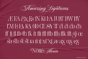 Notte Alexia, a Script Font by joelmaker (Thumbnail 24 of 25)