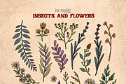 Insects and Flowers, an Animal Illustration by Ink Stories (Thumbnail 5 of 15)