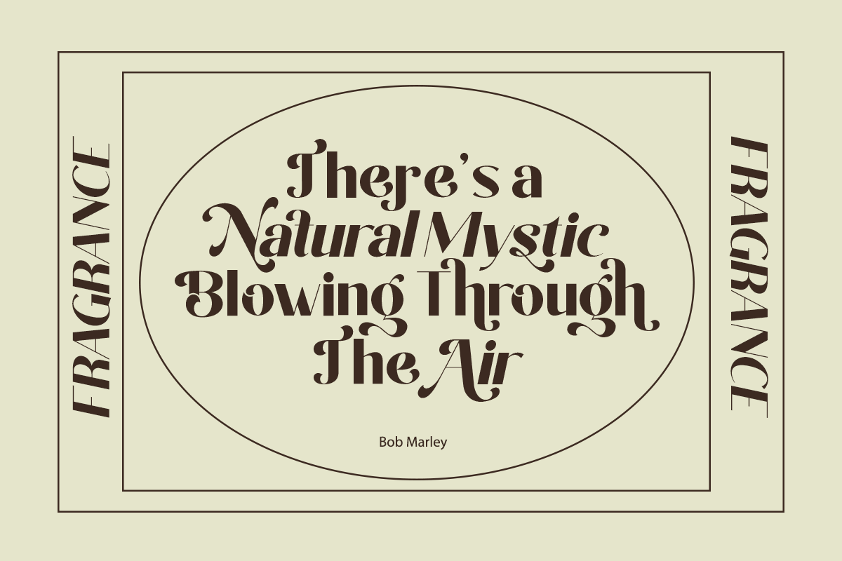 Kasogi - Modern Sans Font, a Sans Serif Font by Font Liner (Photo 3 of 13)