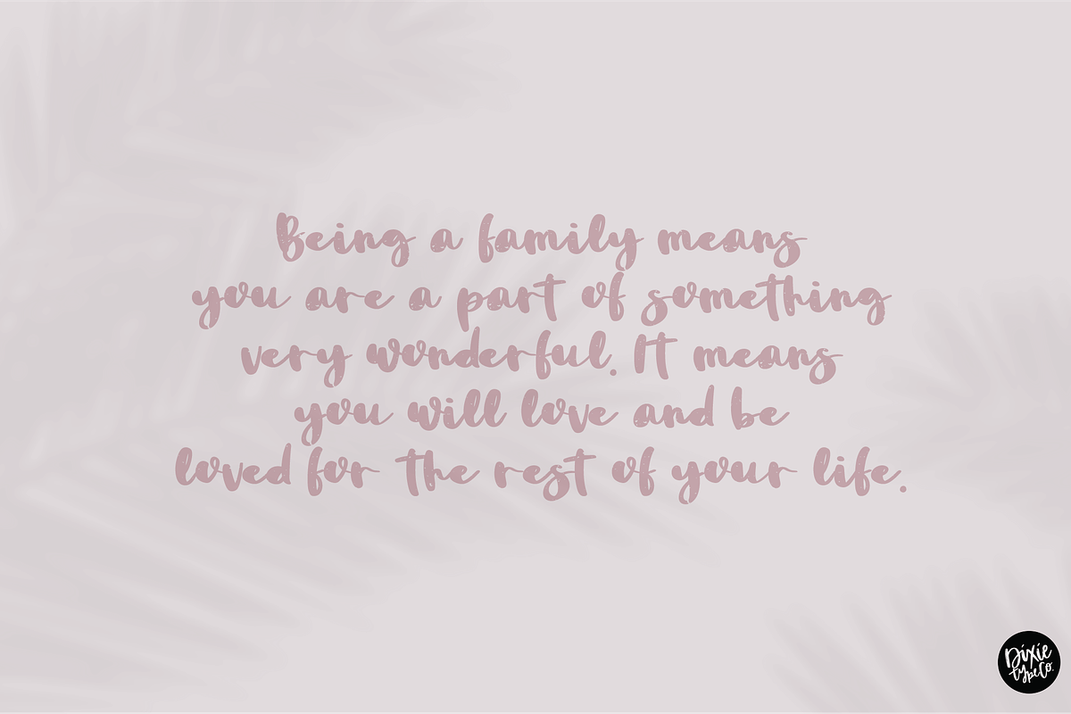 LILY a Bold Distressed Font preview 6