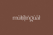 Shoreline - Elegant & Classic Serif, a Serif Font by Misha Sova (Thumbnail 8 of 8)