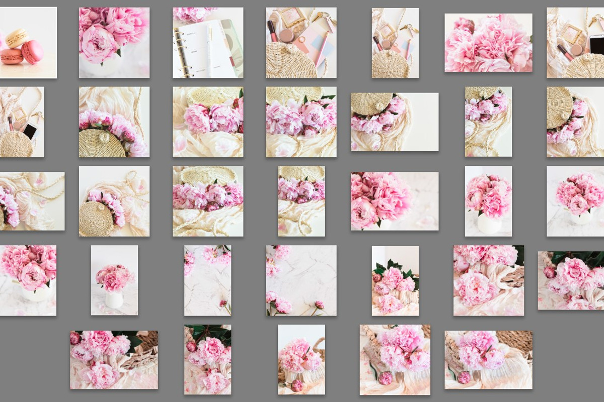 Pink peony stock photo bundle containing pink, peony, and fowers, a Business Photo by Savvy Stock Shop (Photo 2 of 16)