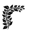 Floral Corner Ornament Vector Bundle, an Illustration by Designs_River (Thumbnail 25 of 51)