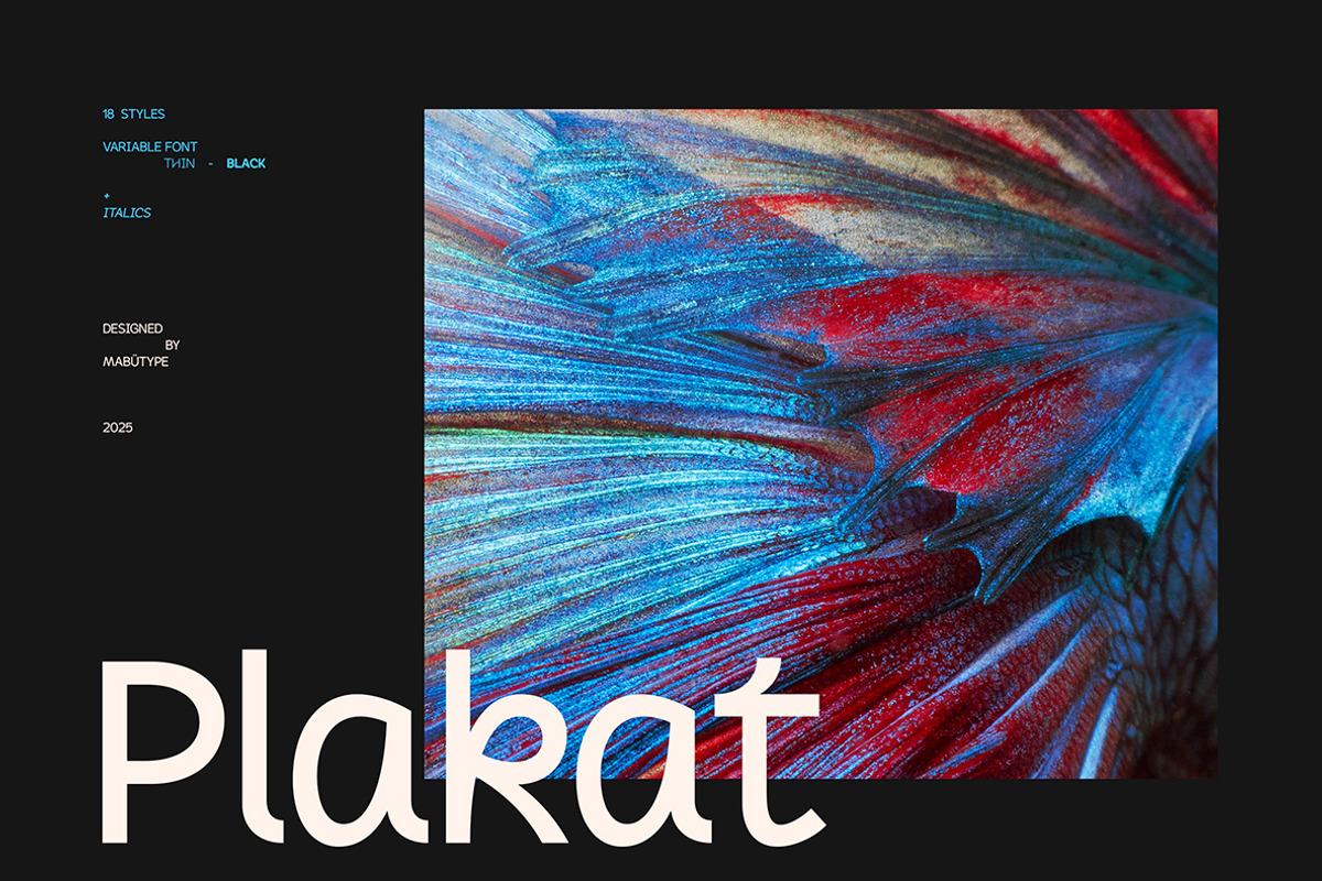 Plakat Variable Family, a Sans Serif Font by Mabütype (Photo 8 of 11)