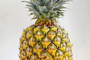 A vibrant, ripe pineapple isolated o, a Photo by LOGOCREATIVE