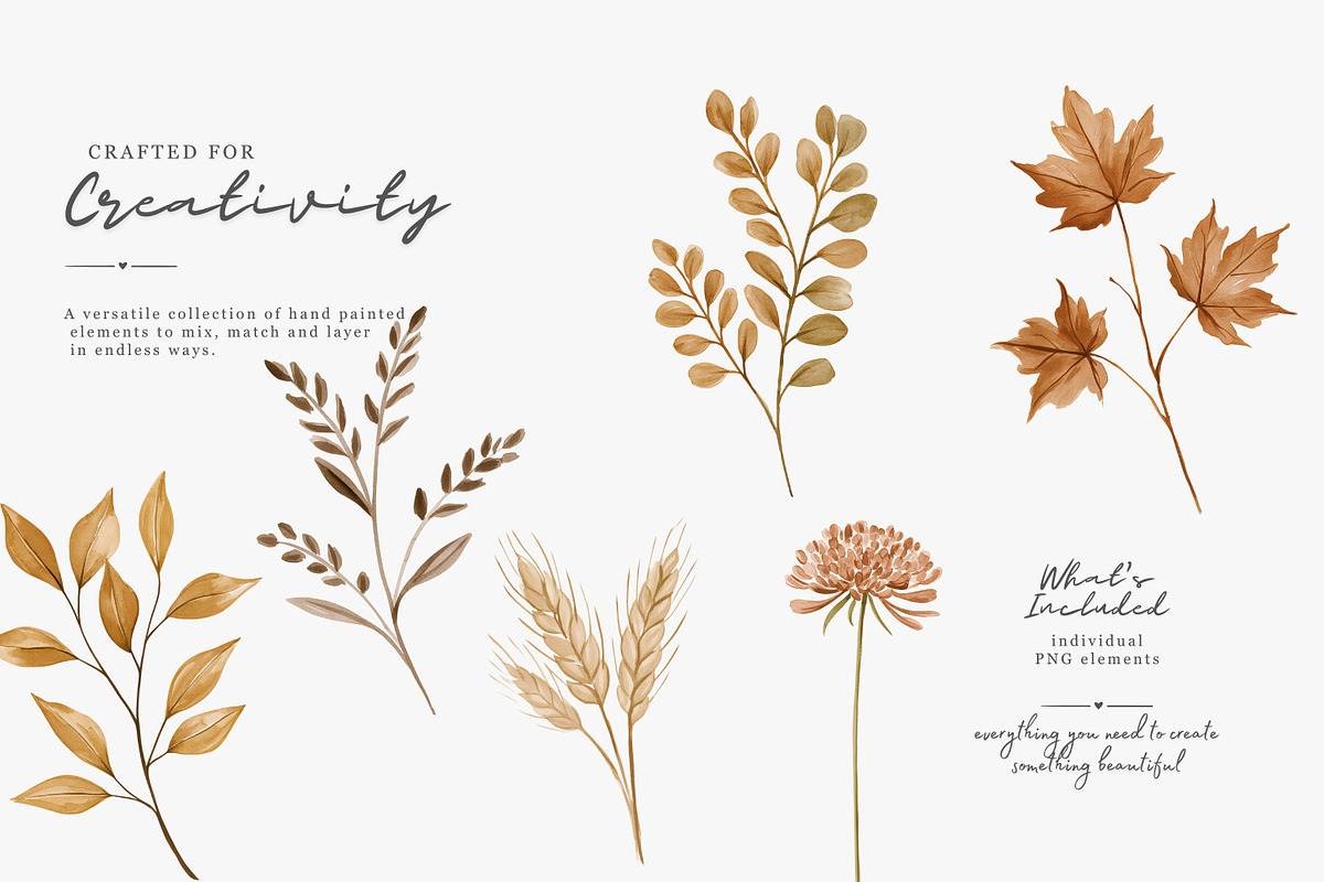 autumn botanical clipart collection, a Decorative Illustration by Patishop Art (Photo 6 of 9)