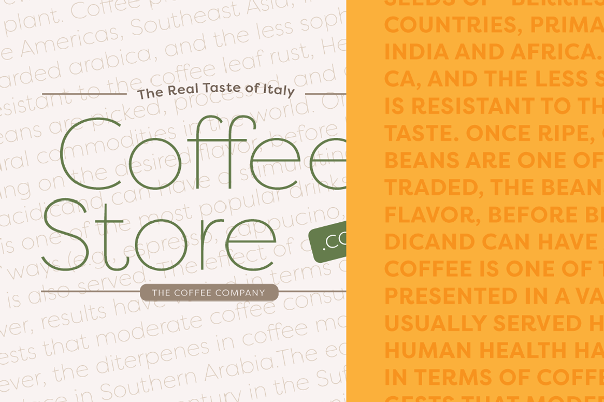 Filson Pro Font Family (16 fonts) preview 3