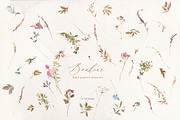 Bonheur Fall Florals Clip Art, an Illustration by whiteheartdesign (Thumbnail 11 of 18)