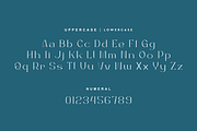 Washgoem - Modern & Serif Typeface, a Serif Font by QR Design Studio (Thumbnail 5 of 10)