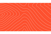 Salmon fish meat pattern, an Animal Illustration by Vector Tradition (Thumbnail 2 of 3)