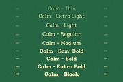 Calm - Slab Serif Family, a Slab Serif Font by Krismagraph (Thumbnail 5 of 12)