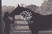 24 EQUINE LOGOS | fully editable, a Branding & Logo Template by Favete Art (Thumbnail 10 of 10)