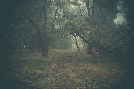 Dark dirt road