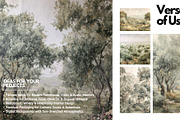 30+ Mediterranean Olive Grove Bundle, a Decorative Illustration by Virgo Studio (Thumbnail 5 of 6)