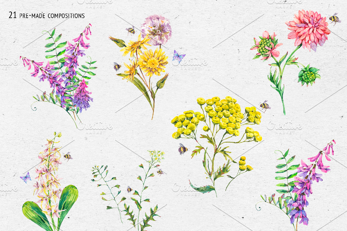 Watercolor meadow herbs&flowers, an Illustration by Depiano (Photo 5 of 19)