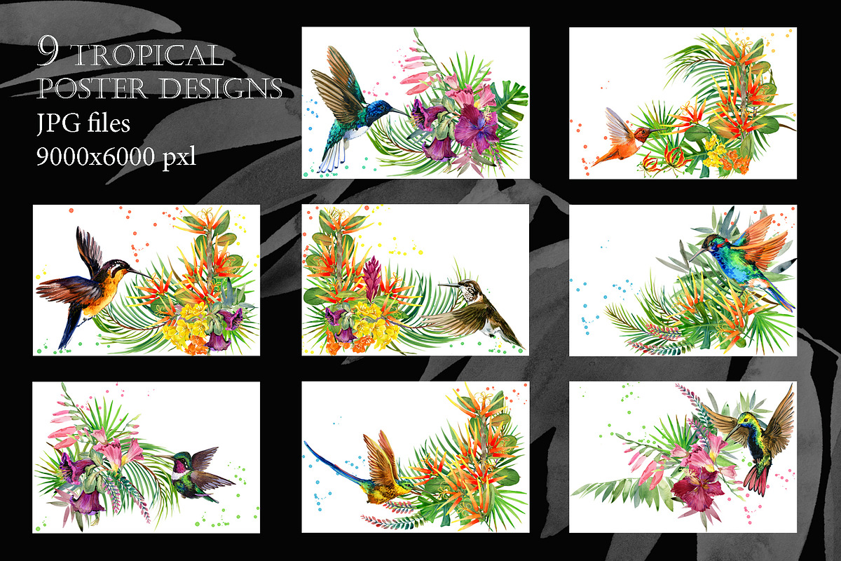 Watercolor Tropical plant & Bird, an Object Graphic by FineArt (Photo 4 of 22)