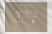 Vogate, a Serif Font by ToniStudio (Thumbnail 5 of 9)