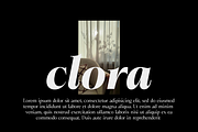 Briselle, a Serif Font by Propertype (Thumbnail 10 of 15)