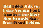 Rigam Complete Family, a Serif Font by Fitrah Type (Thumbnail 3 of 15)