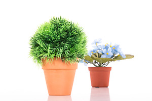 Flower pot on table stock photo containing view and plastic