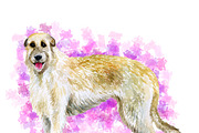 Watercolor Dogs Mega Big Bundle, an Illustration by Dneprstock (Thumbnail 39 of 60)