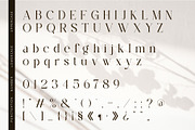 The Estory Modern Serif Font, a Serif Font by Idea Studio (Thumbnail 12 of 12)