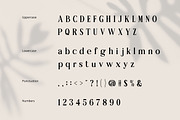 Averique Classic Modern Serif Font, a Serif Font by Rasio Studio (Thumbnail 2 of 6)