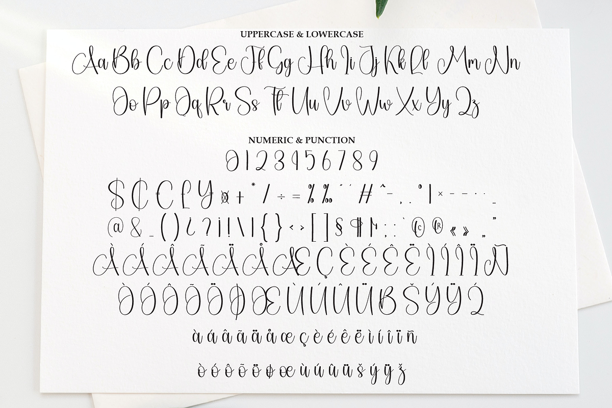 Signature | Script Font, a Handwritten Font by Scratchones (Photo 7 of 9)
