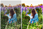 Vibrant Lightroom Presets, a Preset Add-On by artboard1 (Thumbnail 6 of 7)
