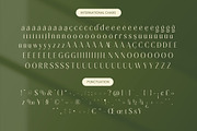 Mugia Elegant Modern Display Font, a Sans Serif Font by timelesstype.co (Thumbnail 19 of 20)