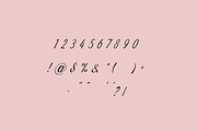 Promica Romance Modern Signature, a Handwritten Font by UICreative (Thumbnail 10 of 13)