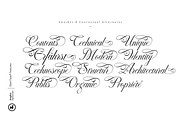 Anglez Script, a Script Font by Hurufatfont (Thumbnail 10 of 10)