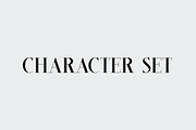 Cintary Modern Serif Font, a Serif Font by Maryamtype Studio (Thumbnail 13 of 15)