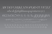 Volterra Family, a Serif Font by Blank Is The New Black (Thumbnail 11 of 11)