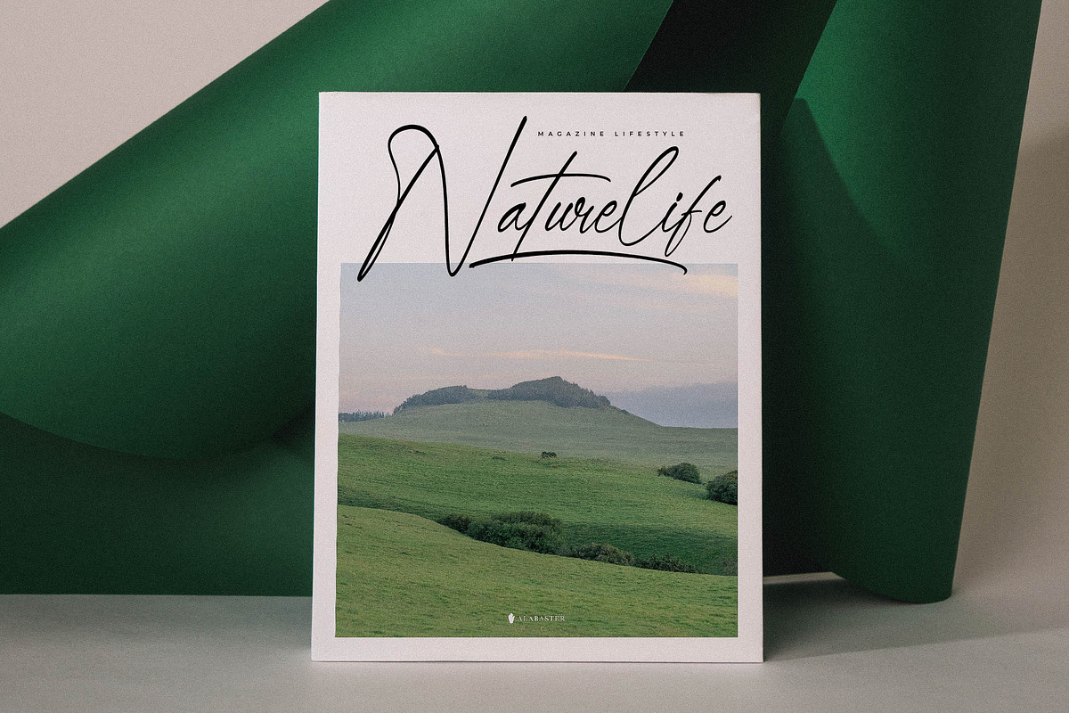 Qedgan Mellodysta A Modern Font Duo, a Serif Font by Storytype Studio (Photo 8 of 15)