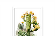 Saguaro Cactus Art, 2 Cactus Bundle, an Illustration by mollyli.ai (Thumbnail 3 of 7)