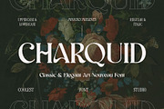 Charquid Font - Serif Font, a Serif Font by Koplexs Studio (Thumbnail 1 of 10)