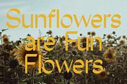 South Pacific, a Sans Serif Font by Tropical Type (Thumbnail 9 of 11)