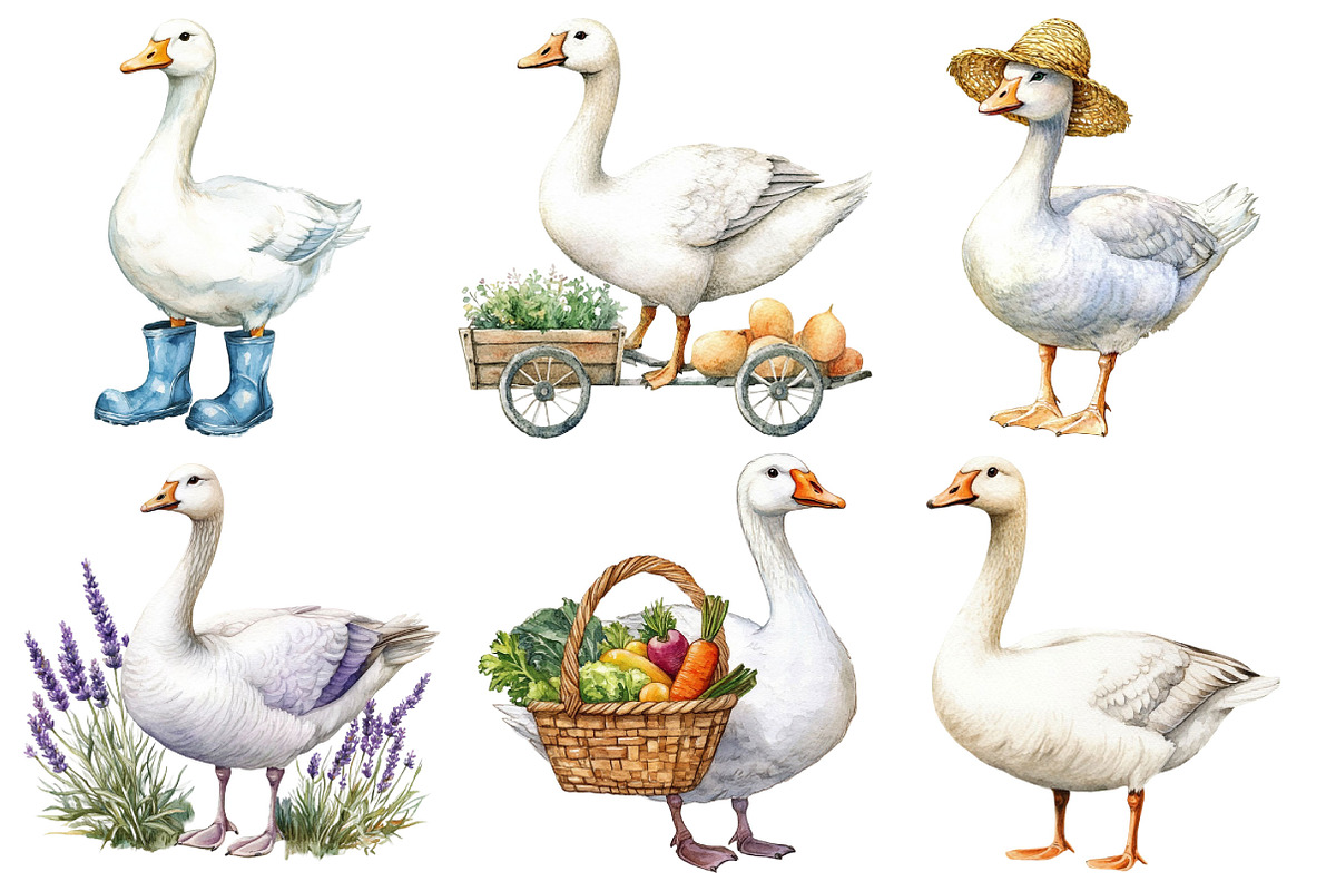 White Goose Garden Clipart, an Illustration by Pixels.Craft (Photo 2 of 7)