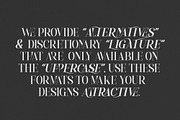Mylierka - Serif Font (11 Fonts), a Serif Font by Maculinc Type (Thumbnail 8 of 15)