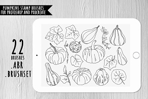 Hand Drawn Pumpkins Stamp Brushes