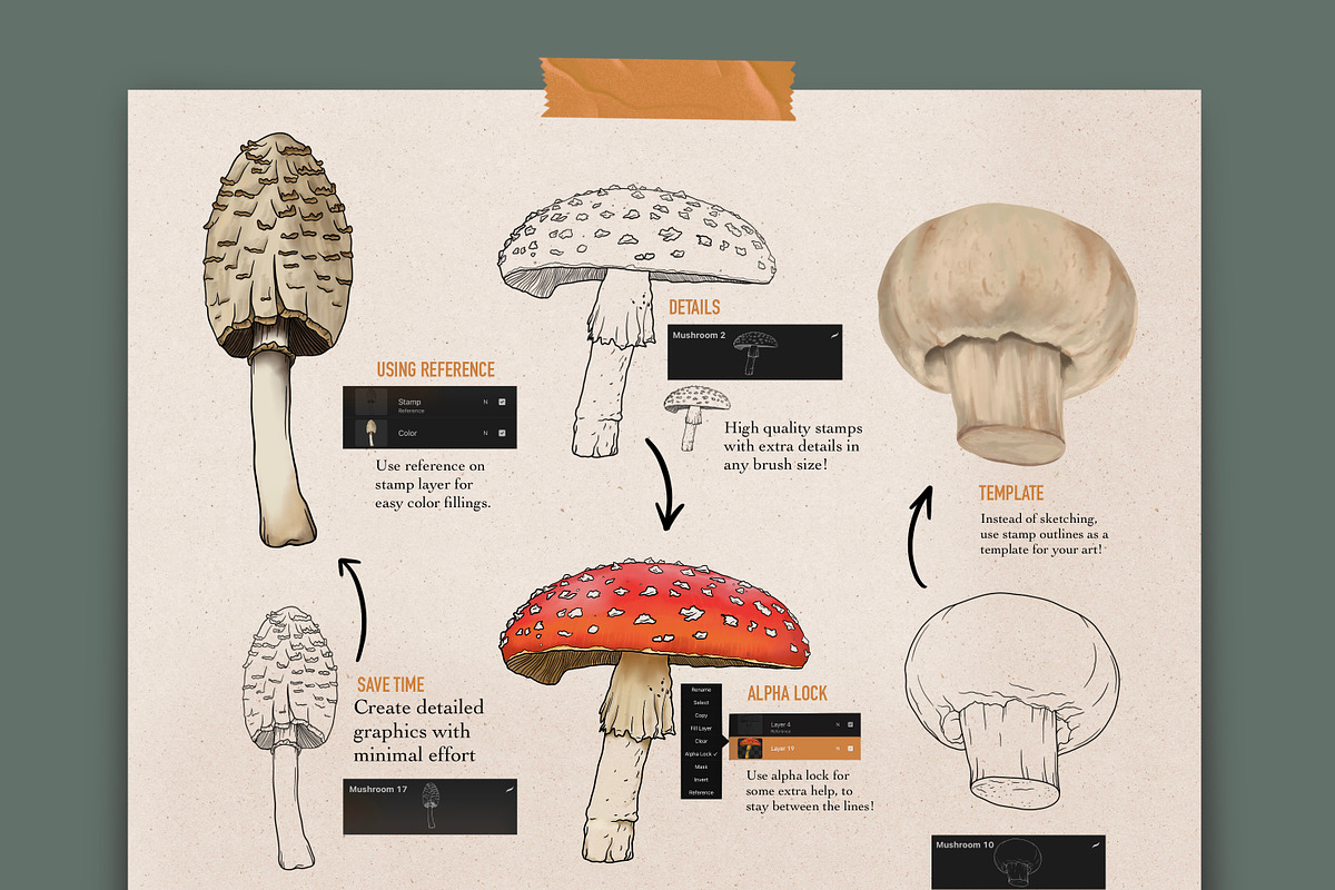 Mushroom brushes for Procreate, a Brush Add-On by PDknyStudio